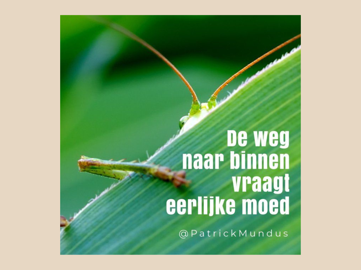 De weg naar binnen vraagt eerlijke moed