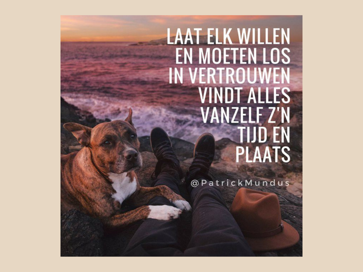 Laat elk willen en moeten los